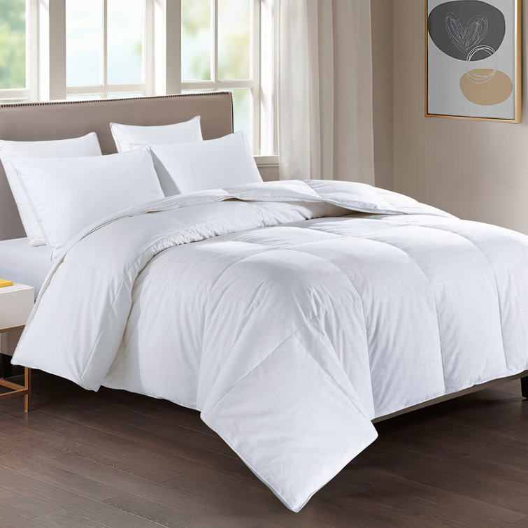 Alwyn Home All Season Goose Down Comforter & Reviews Wayfair
